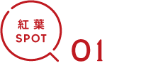 紅葉SPOT01