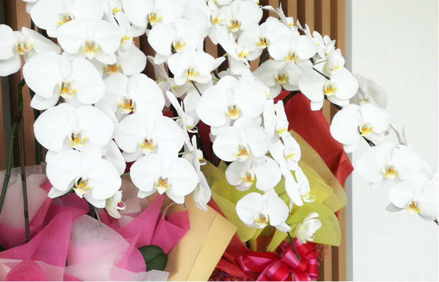 (株)ハナ清・ FLOWER STUDIO