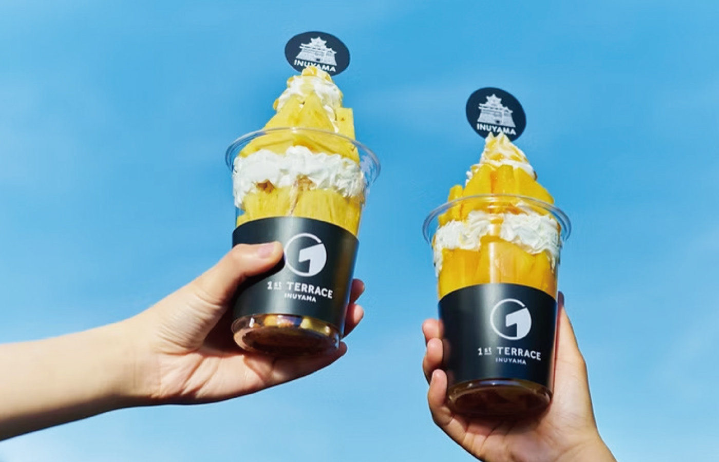 1st TERRACE INUYAMA（ファーストテラス イヌヤマ）